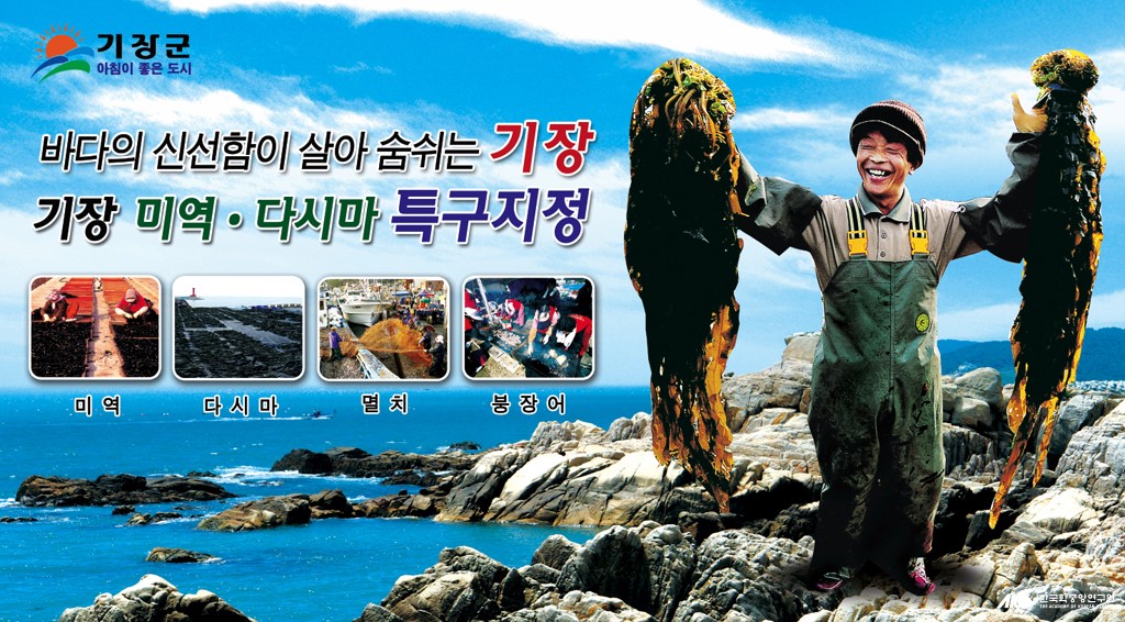 기장 미역 다시마 축제